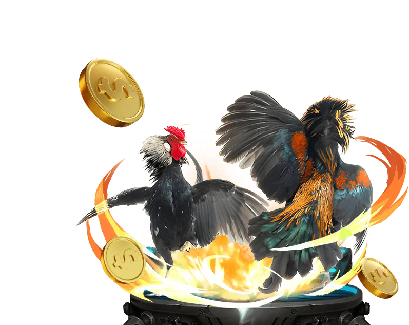 Trải nghiệm đá gà Thomo trực tiếp